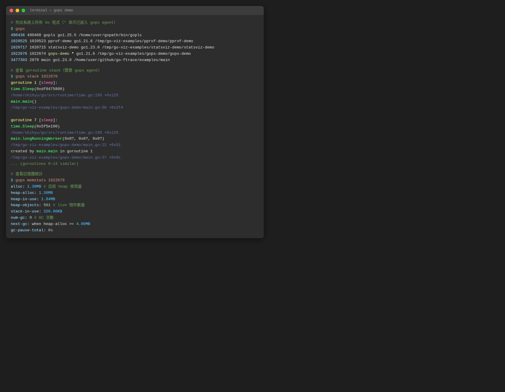 gops 命令列輸出