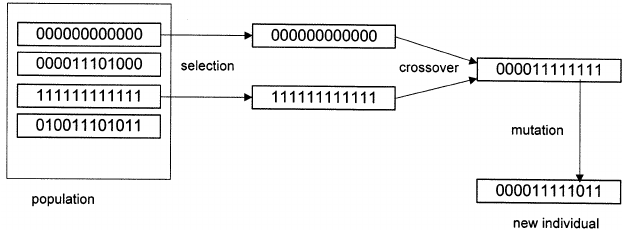 Genetic-operators-selection-crossover-and-mutation