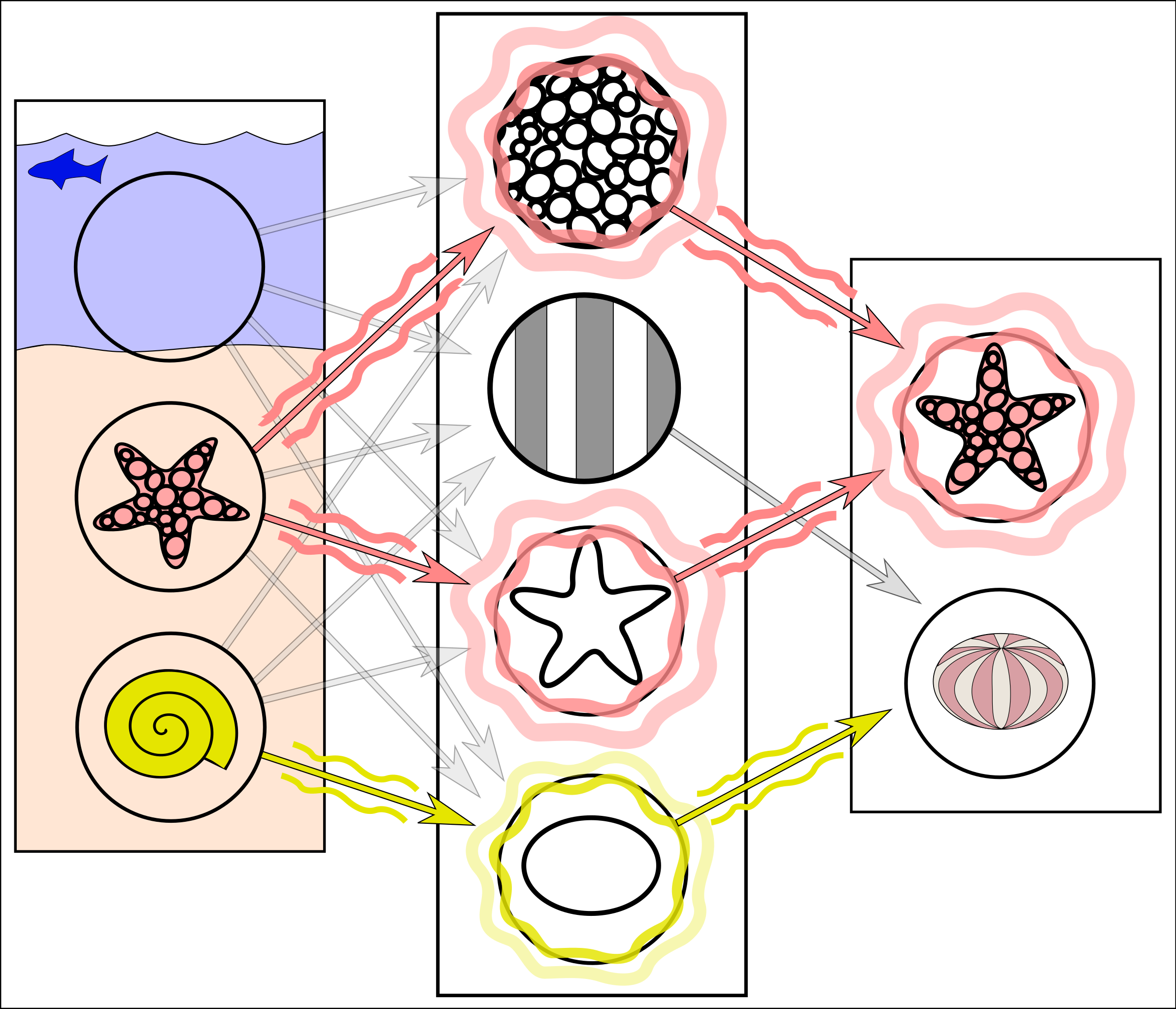 簡化的類神經網路示意圖