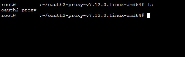 OAuth2 Proxy 解壓縮結果